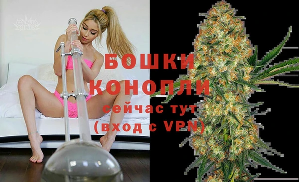 первитин Белоозёрский