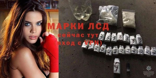 Альфа ПВП Белокуриха