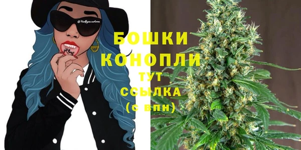 Альфа ПВП Белокуриха