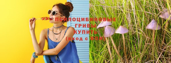 Альфа ПВП Белокуриха