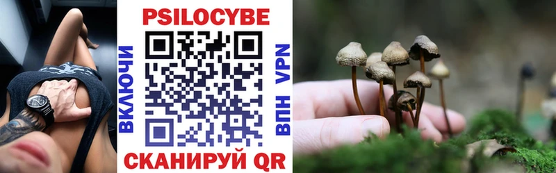 Галлюциногенные грибы мицелий  mega ССЫЛКА  Великий Новгород 